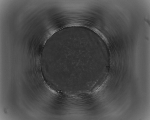 X0000091881337200709191148