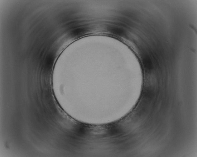 X0000091881338200709191148