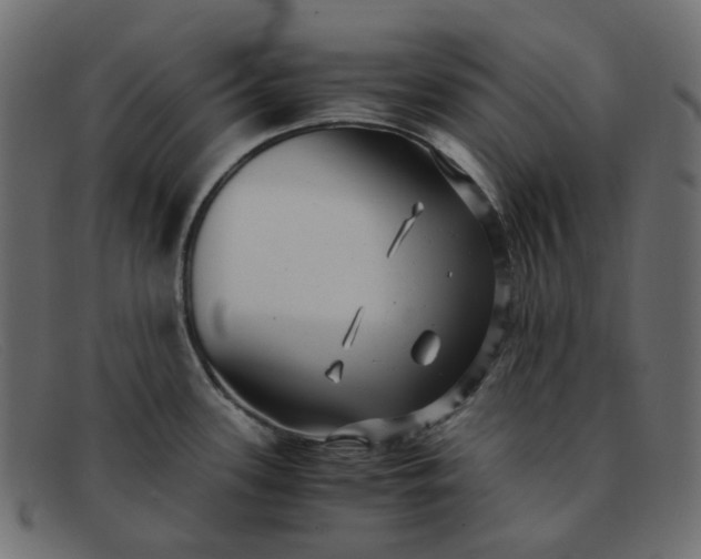 X0000091881339200709191148