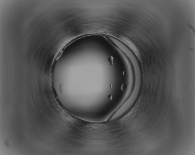 X0000091881340200709191148