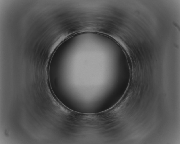 X0000091881341200709191148