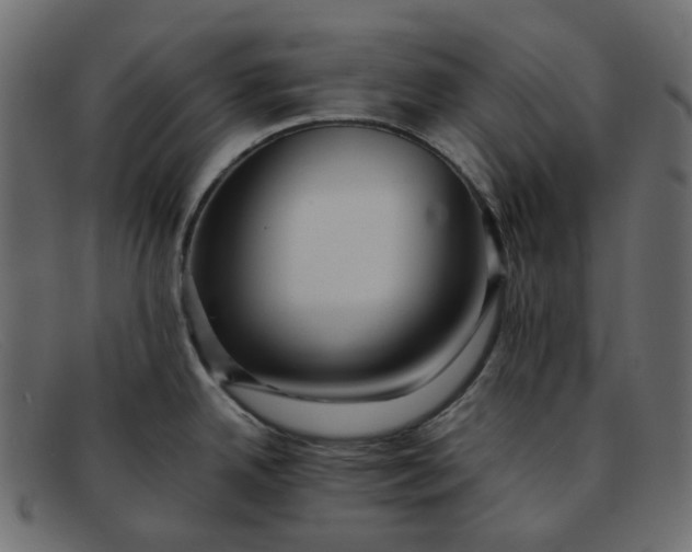 X0000091881342200709191148