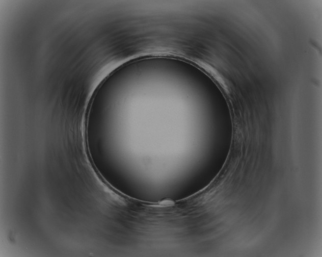 X0000091881343200709191148