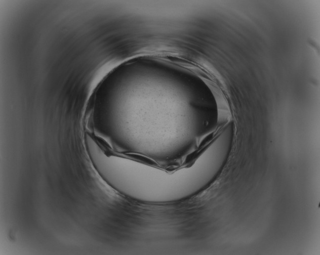 X0000091881344200709191148