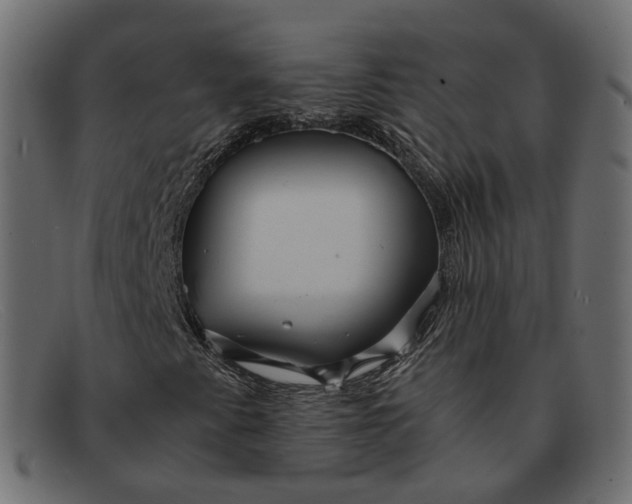 X0000091881345200709191148