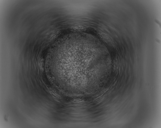 X0000091881346200709191148