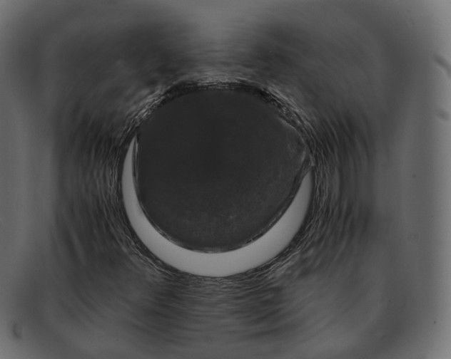 X0000091881348200709191148