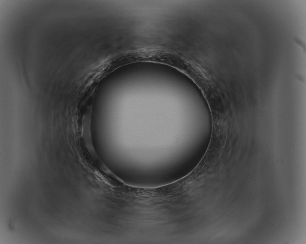 X0000091881349200709191147