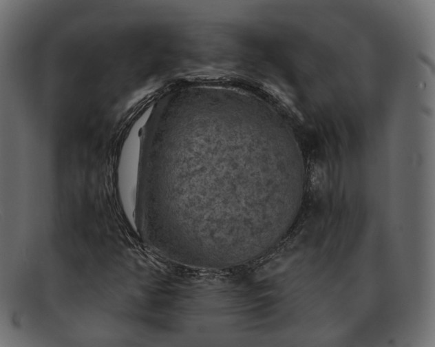 X0000091881350200709191147