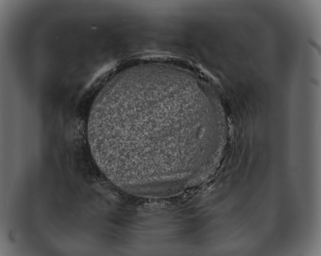 X0000091881351200709191147