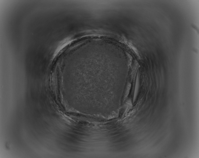 X0000091881352200709191147