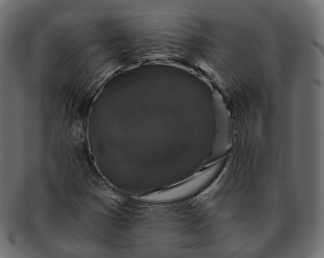 X0000091881353200709191147