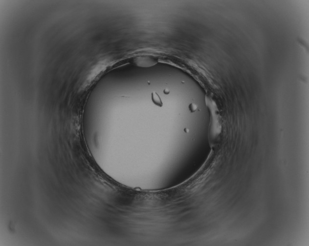 X0000091881355200709191147