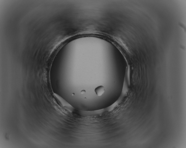 X0000091881356200709191147