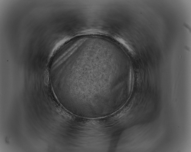 X0000091881358200709191147