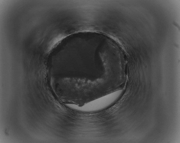 X0000091881359200709191147