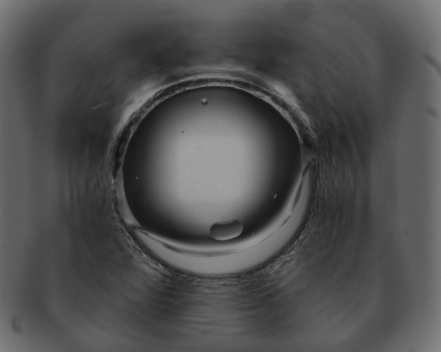 X0000091881360200709191147