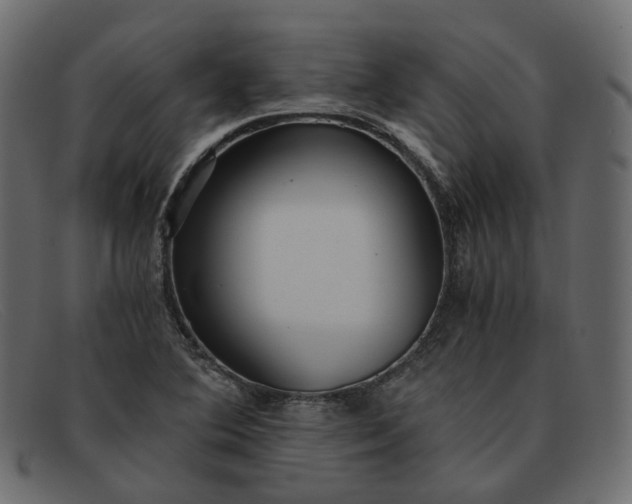 X0000091881364200709191147