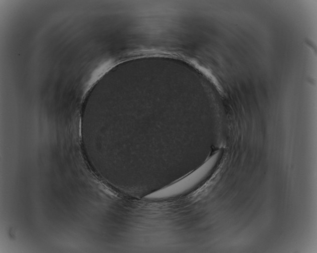 X0000091881365200709191147