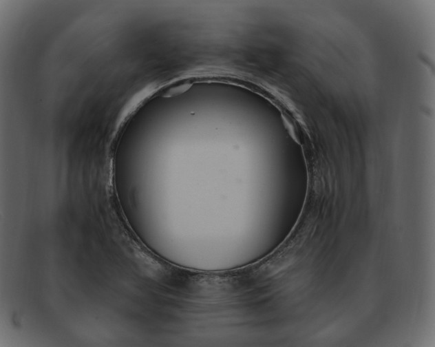 X0000091881366200709191147