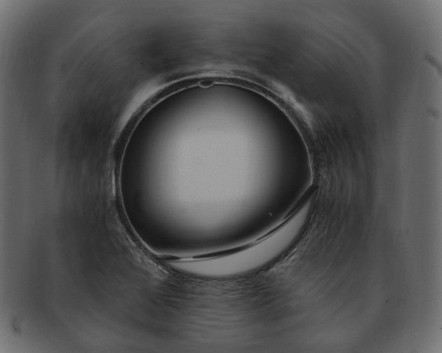 X0000091881368200709191147