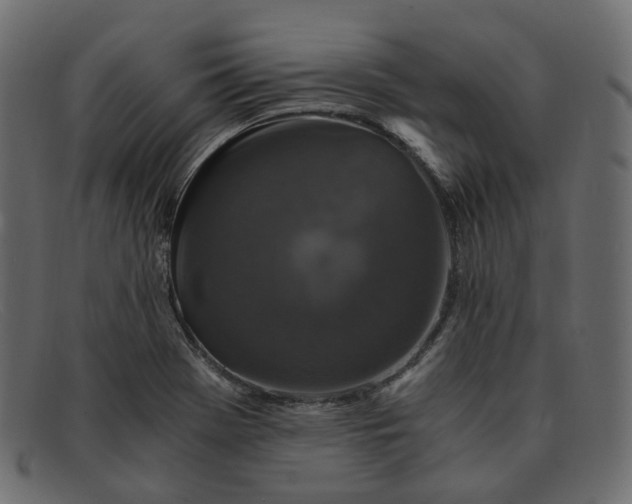 X0000091881369200709191147