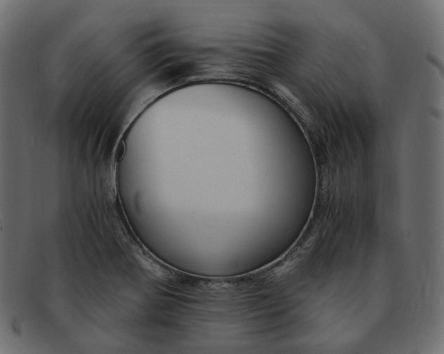 X0000091881370200709191147