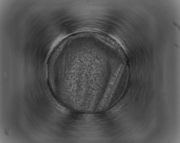X0000091881371200709191147