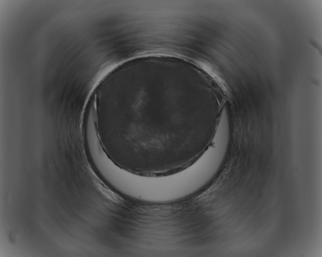 X0000091881372200709191147