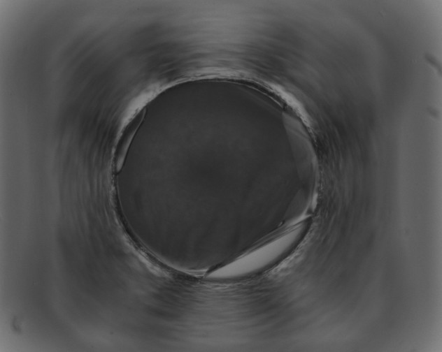 X0000091881373200709191147