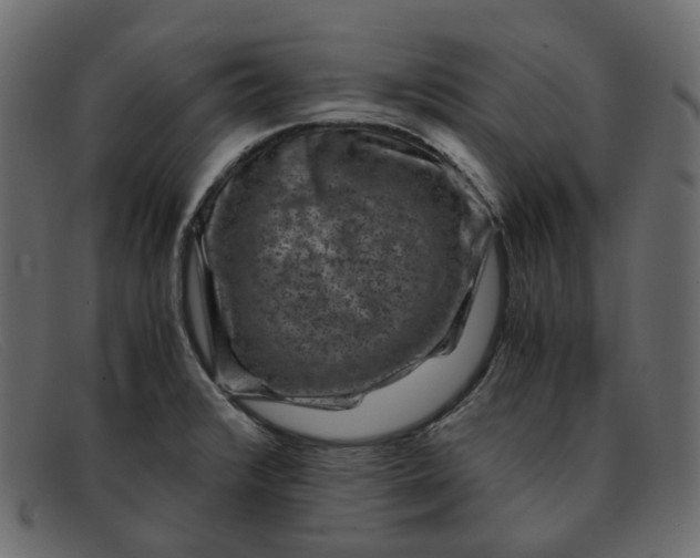 X0000091881376200709191147