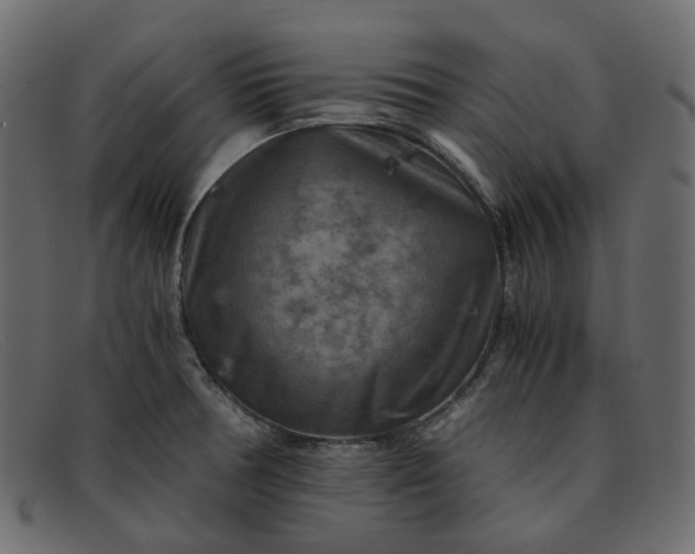 X0000091881378200709191147