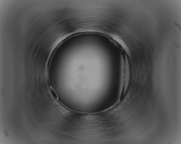 X0000091881380200709191147