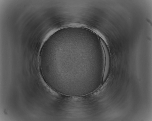 X0000091881381200709191147