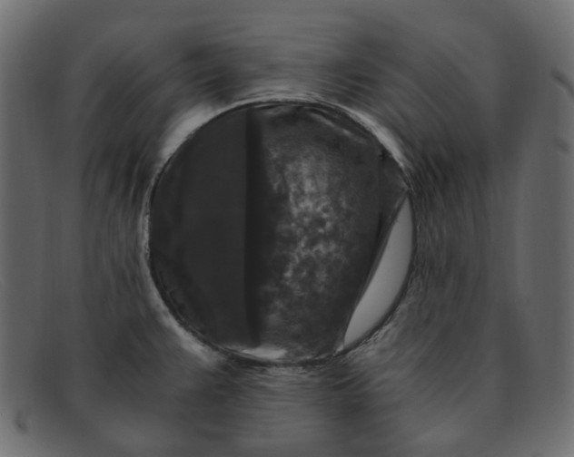 X0000091881383200709191147