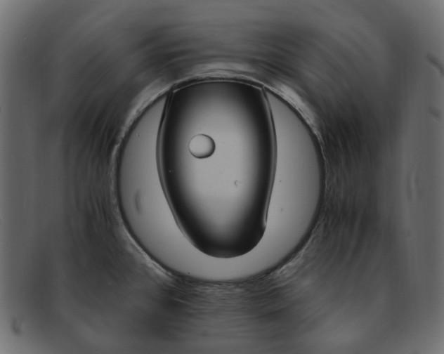 X0000091881384200709191147