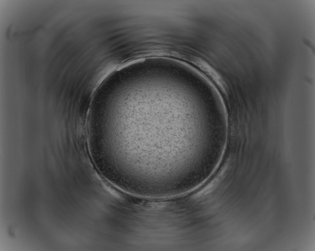 X0000091881385200709191147