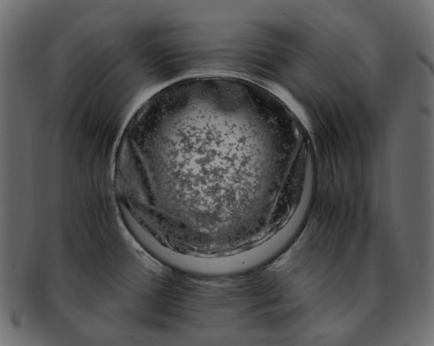 X0000091881388200709191147