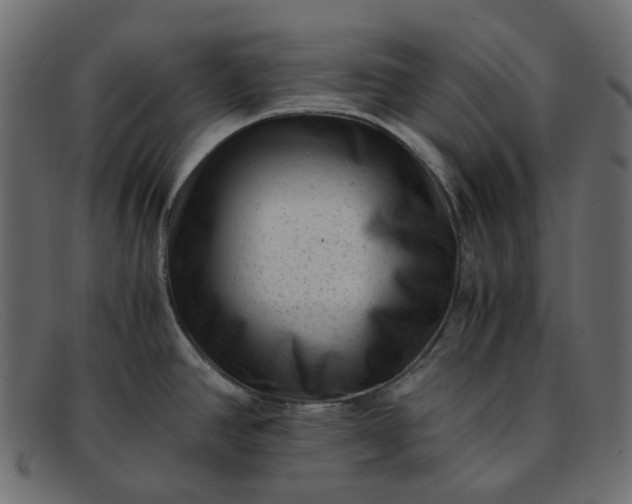 X0000091881390200709191147