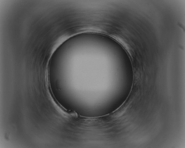 X0000091881391200709191147