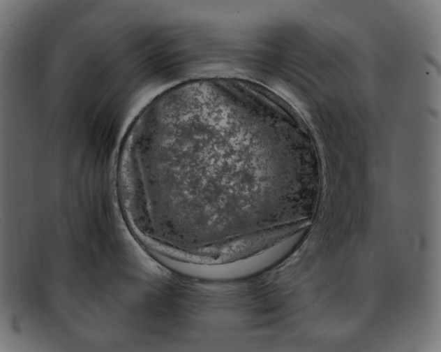 X0000091881392200709191147