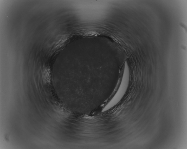 X0000091881394200709191146