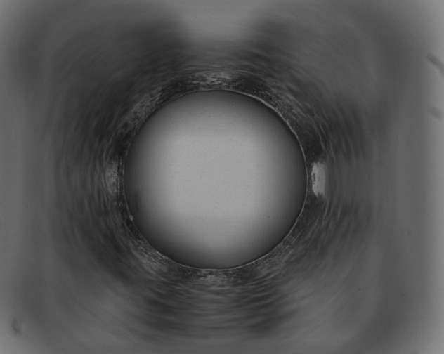 X0000091881395200709191146