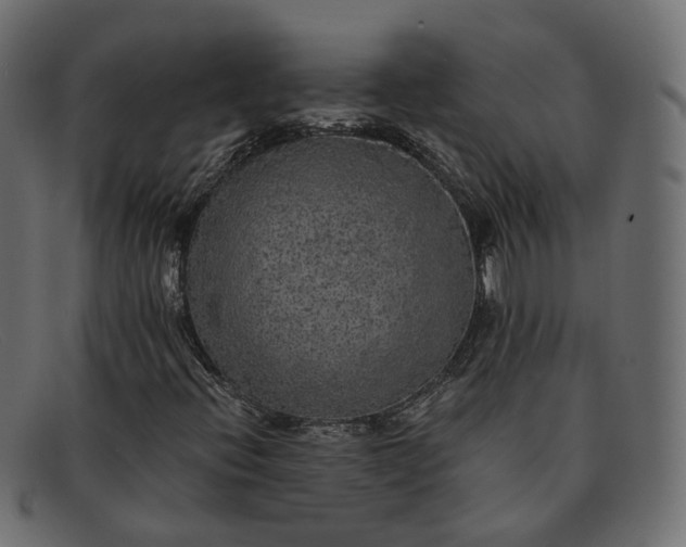 X0000091881396200709191146