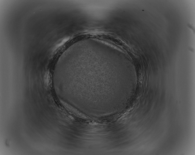 X0000091881398200709191146