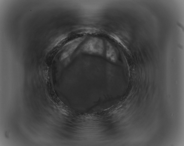 X0000091881399200709191146