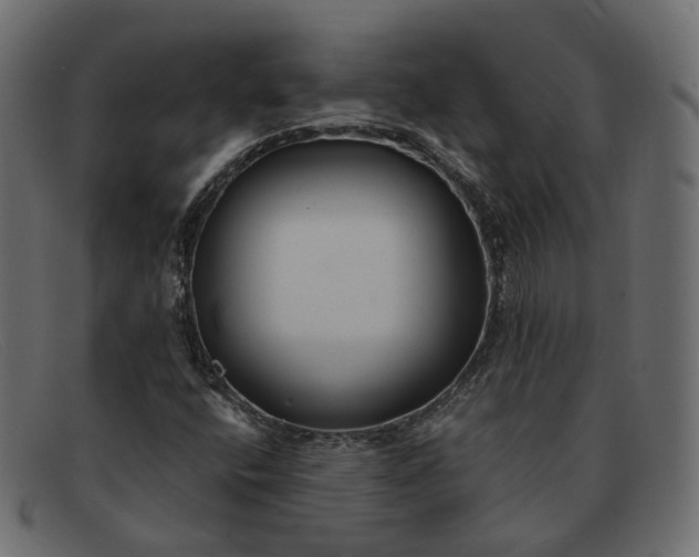 X0000091881400200709191147