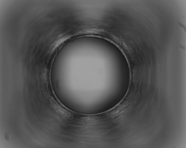 X0000091881404200709191147