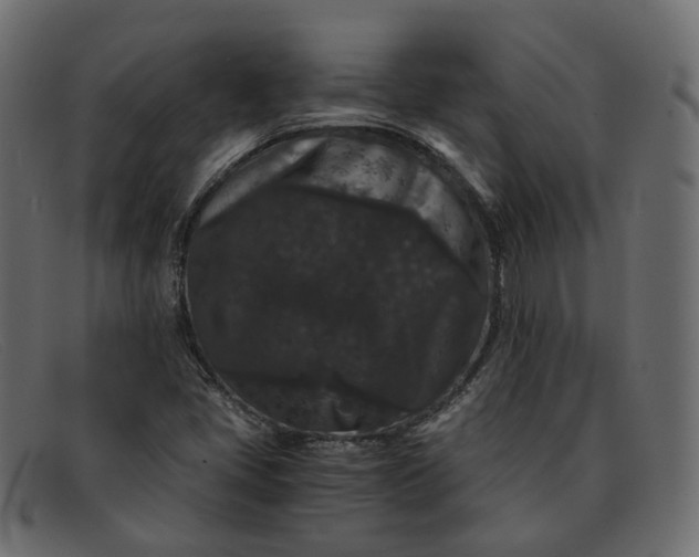 X0000091881405200709191147