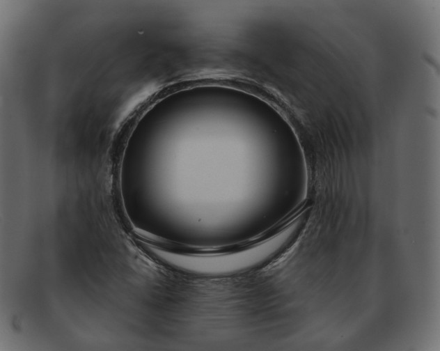 X0000091881406200709191147